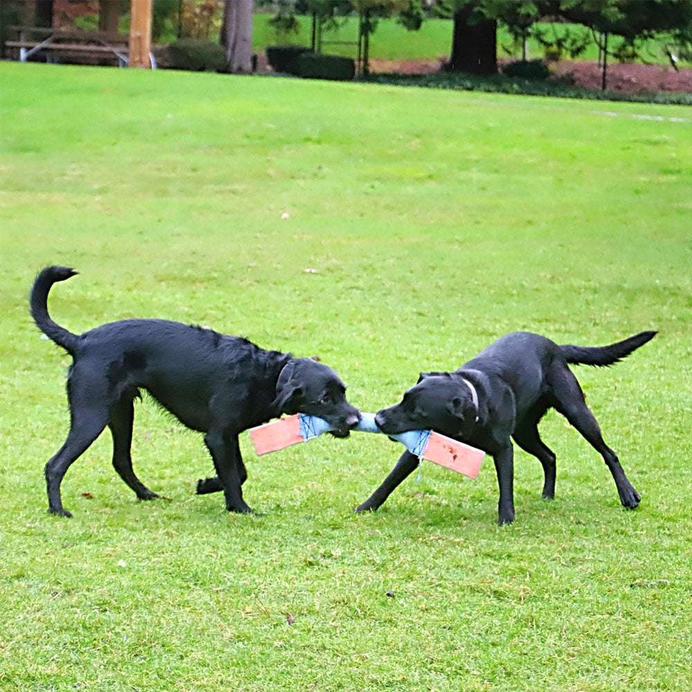 Fire Hose Dual Handled Dog Tug Toy