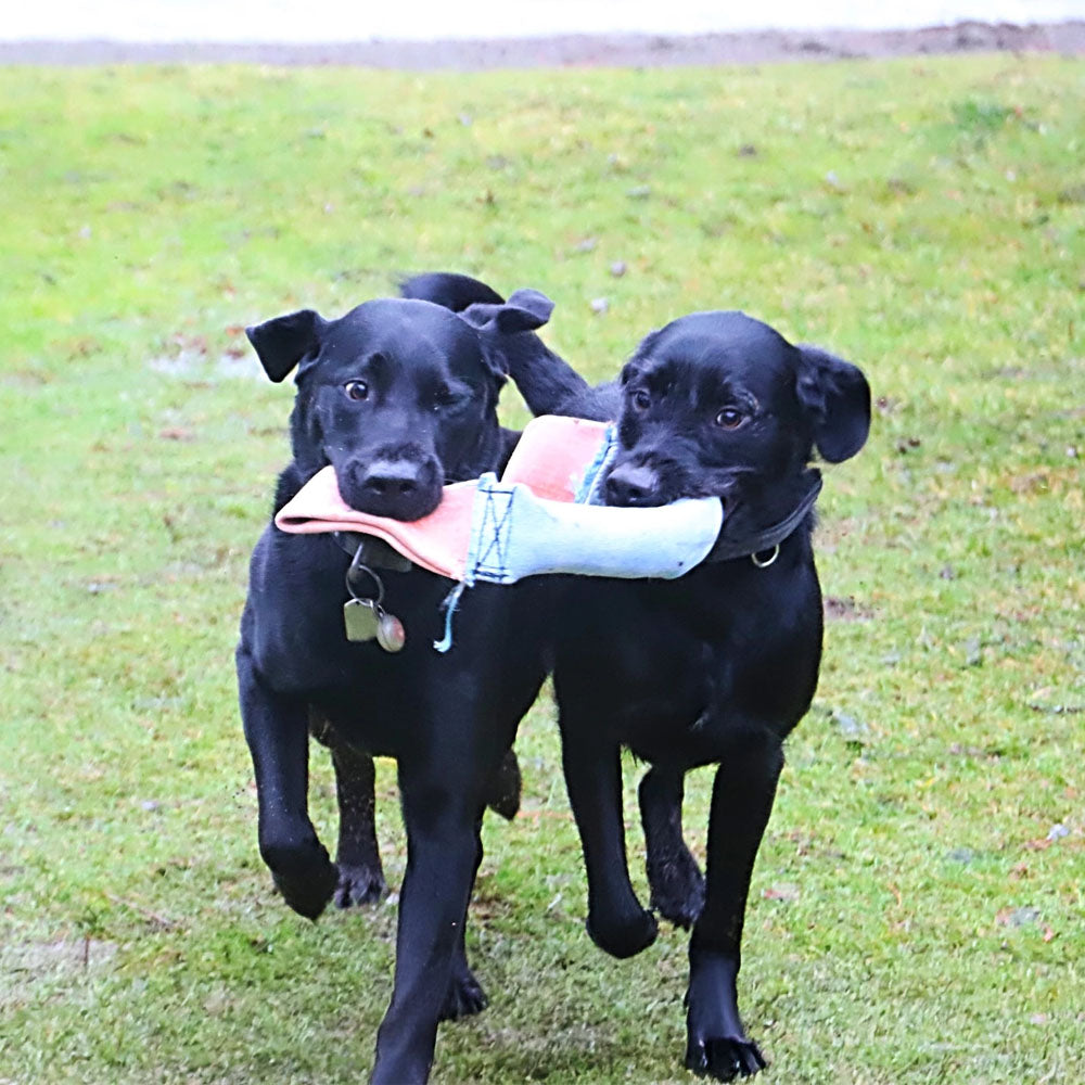 Fire Hose Dual Handled Dog Tug Toy