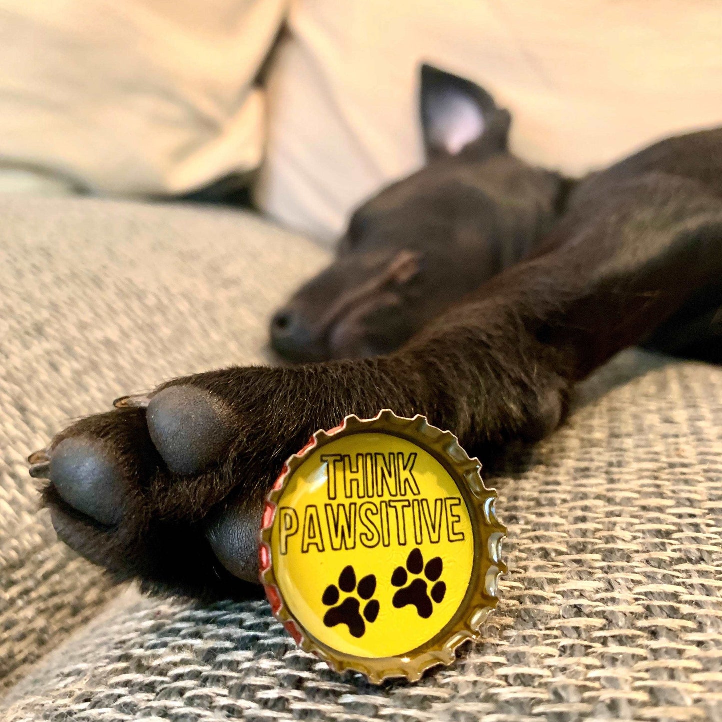 Bottle Cap Magnets - Dog Lover