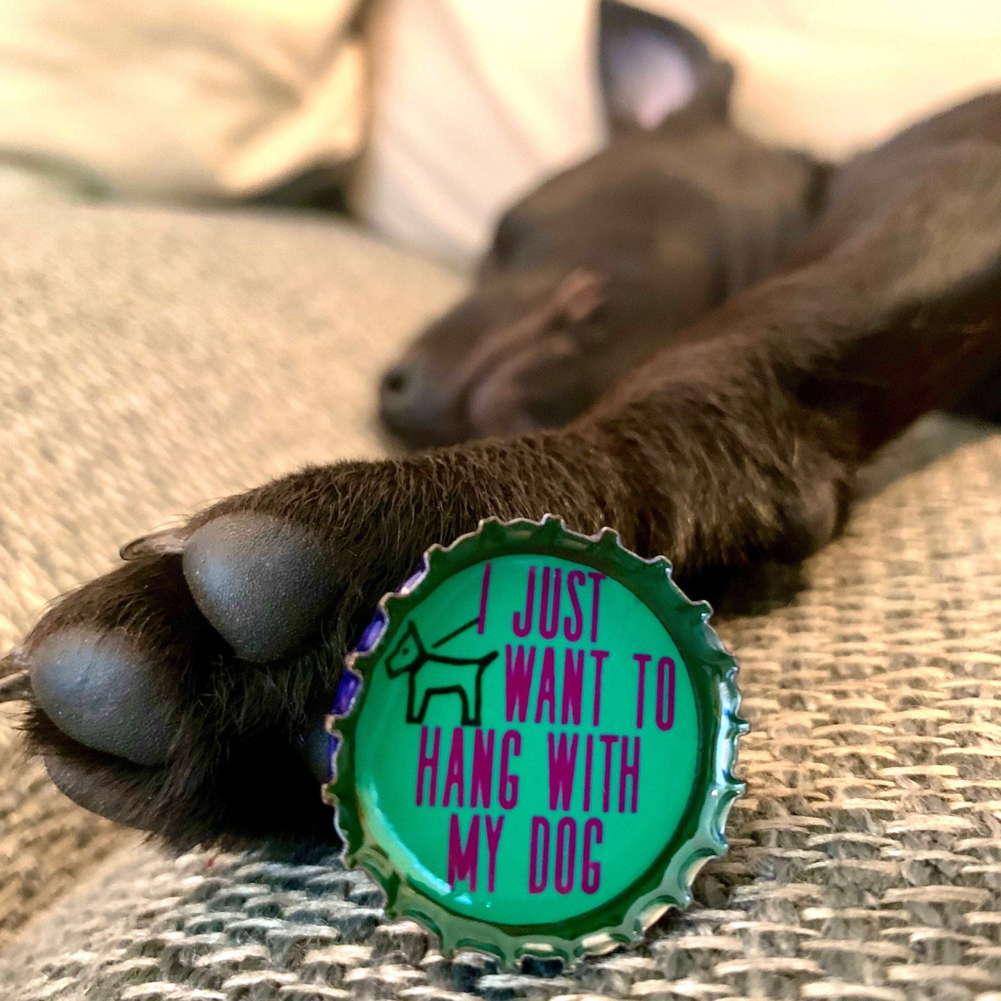 Bottle Cap Magnets - Dog Lover