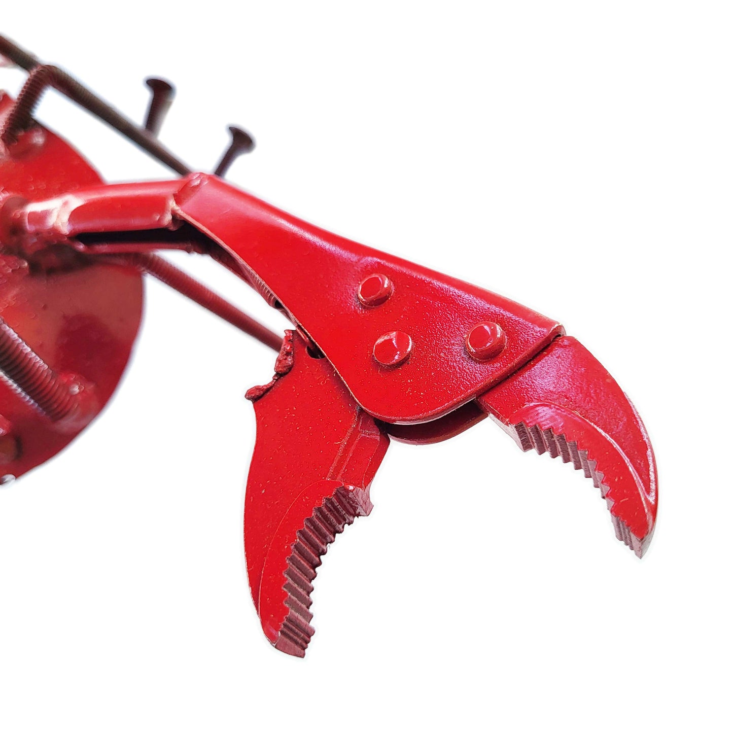 Pliers Lobster