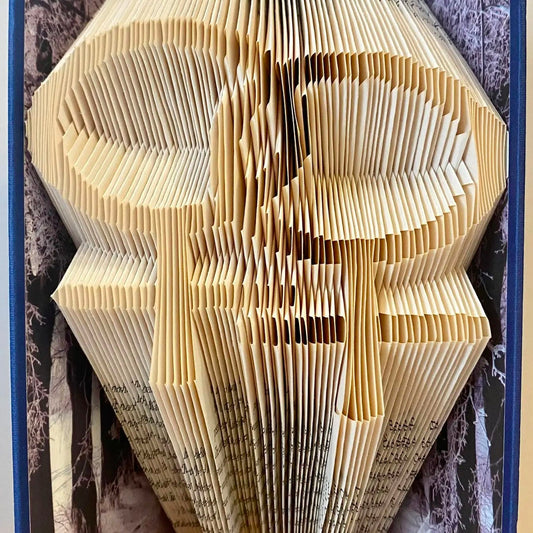Folded Book Art - ⚢ (Double Venus)