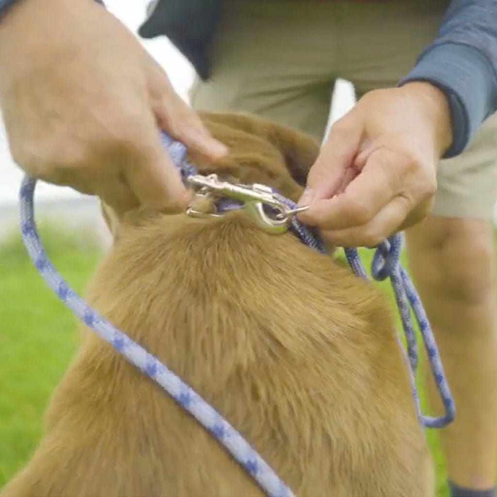 Climbing Rope Dog Leash