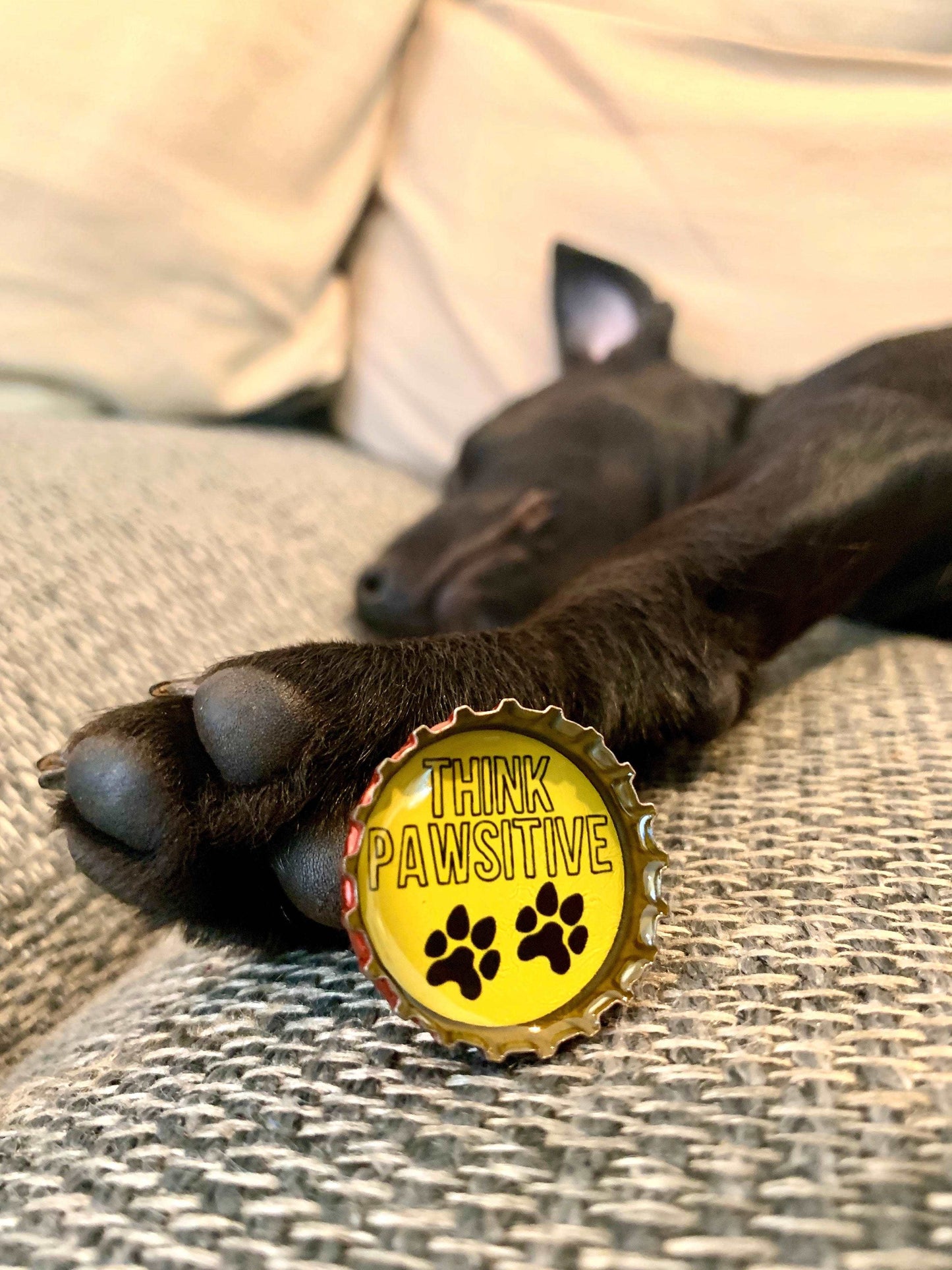 Bottle Cap Magnets - Dog Lover