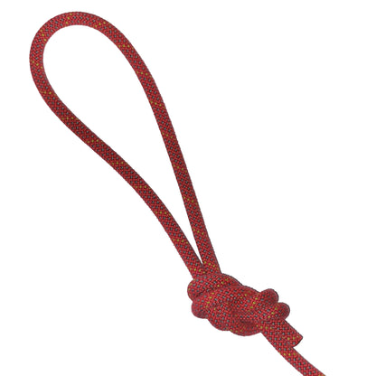 Climbing Rope Dog Leash